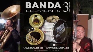 Banda Elements Vol 3 Loops Samples Corrido Valseado Sinaloense Huapango Alterado [upl. by Eatnoj863]