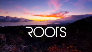 Imagine Dragons  Roots Lyrics [upl. by Ettennil]