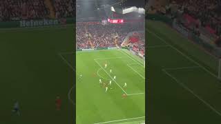 Liverpool vs Bayer Leverkusen 40  All Goals amp Highlights  UEFA Champions League 202425 [upl. by Mikkanen]