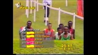 1993 World Cross Country Championships  Amorebieta Spain [upl. by Annaihs102]