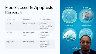 Apoptosis Explained The Science of Programmed Cell Death [upl. by Dalt]