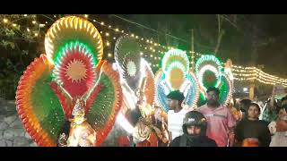 Kannenkavu Pooram 2024 Shinkarimelam [upl. by Gardner]