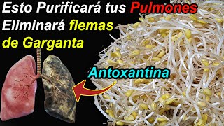 Las Antoxantinas en Esto Purificarán tus Pulmones y Eliminarán Flemas de la Garganta tos e hipo [upl. by Ahsenroc]