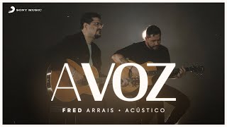 Fred Arrais  A voz Acústico [upl. by Babette]