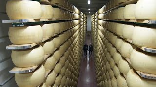 Massimo Botturas obsession with ParmigianoReggiano [upl. by Sansone]