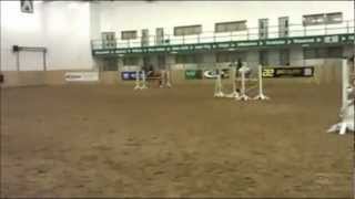 Show Jumping Accumulator [upl. by Ramin]