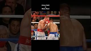 Arturo Gatti vs Micky Ward boxing [upl. by Nafis]