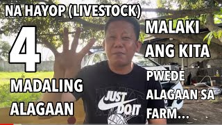 4 NA HAYOP NA MAGANDA MADALI ALAGAAN AT KIKITA SA FARM [upl. by Ingalls776]