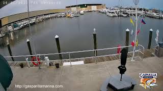 Gasparilla Marina  Live Stream  Englewood  Placida Florida  Gulf Coast  Fuel Dock Cameras [upl. by Calan]