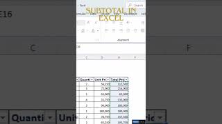 Subtotal in excel excelfinanceinfolabs [upl. by Ys]