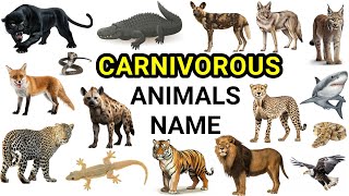 Animals name in English animals name animals vocabulary animals [upl. by Rellia]