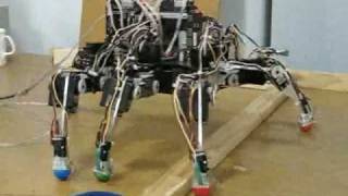 Autonomous Robot With NeurologicallyBased Control System [upl. by Neelat]