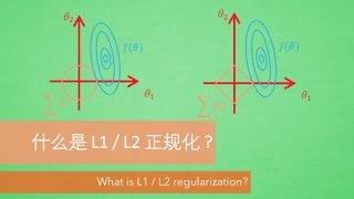 什么是 L1 L2 正规化 正则化 Regularization 深度学习 deep learning [upl. by Nylicaj]