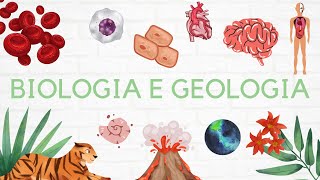 16 Geologia 11º ano  Magmatismo e Rochas Magmáticas 🌋 [upl. by Ydissac938]