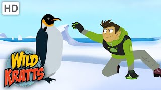 Wild Kratts PENGUINS Power Suits [upl. by Huskamp]