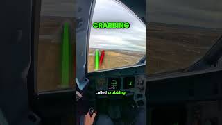 Airplane Crabbing in Crosswind Explained  gregorykovalev1991 [upl. by Yemarej316]