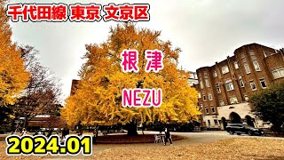 東京散歩 根津・東京大学周辺文京区 千代田線 Nezu Walk Bunkyo Tokyo Japan [upl. by Tamberg345]