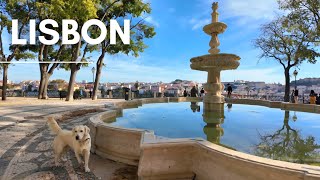 Lisbon PORTUGAL Walking Tour 4K  Principe Real amp Sao Pedro de Alcantara [upl. by Foster956]