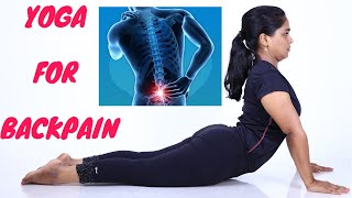 Yoga For Lower Back PainSlip Discமுதுகு வலியை போக்கும் யோகா in Tamil by DrLakshmi Andiappan [upl. by Akim]