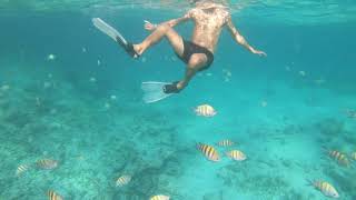 Free Diving at Catalonia Royal Bavaro Punta Cana Dominican Republic 2021  GoPro HD [upl. by Hutchinson]