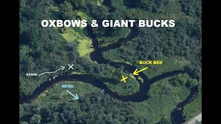 OXBOWS amp GIANT BUCKS [upl. by Leveridge487]