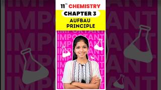 11th Chemistry chapter 3 Aufbau principle Quarterly Important Questions 2024 [upl. by Nohshan386]