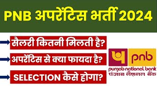 PNB apprentice 2024  PNB apprentice kya hota hai  PNB apprentice salary  PNB apprentice syllabus [upl. by Osyth]