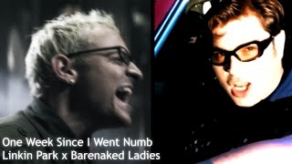 One Week Since I Went Numb Linkin Park x Barenaked Ladies [upl. by Mattias]