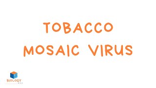 GCSE Biology  Infection amp Response  11 Tobacco Mosaic Virus [upl. by Buehrer]