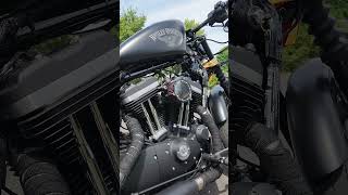 Custom Harley Davidson Sportster Iron 883 Cold Start iron883 [upl. by Eerual]