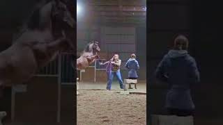 😓 equestrian fyp trend viral blowup horse quarterhorse hunterjumper [upl. by Farhsa326]