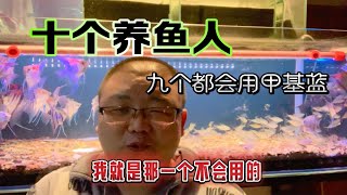 甲基蓝和亚甲基蓝这个东西不知道为什么会有这么多人用真的好用嘛 [upl. by Annola386]