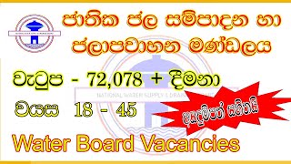 💧🇱🇰Job Vacancies at Sri Lanka Water BoardNWSDB  Application Process Requirements sinhala 2024 [upl. by Eahsan]