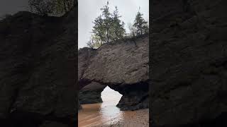 Hopewell Rocks  Always Nature [upl. by Enobe353]