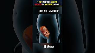 1 to 9 months babys growth in mothers wombmyvideo nishayogagirlwomenhealthrips [upl. by Immanuel]