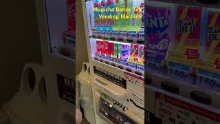 Mugicha Barley Tea Vending Machine in Japan japan osaka vendingmachine drink [upl. by Bealle]