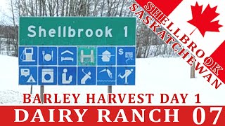 Shellbrook Dairy 07  Just playing  Barley harvest  Farming Simulator 22  FS22 [upl. by Hussey490]