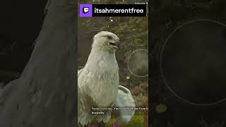 Hippogriff Highwing  Hogwarts Legacy  itsahmerentfree on Twitch [upl. by Remot96]