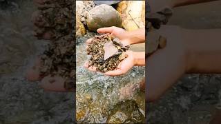 So Crazy😱😱‼️we got 5500 in one handheld amazing gold discovery in the inland river [upl. by Nnair435]