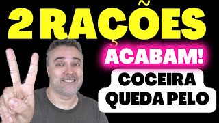 2 rações ACABAM ✅COCEIRA ✅ALERGIA ✅QUEDA DE PELO [upl. by Accebor]