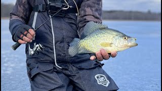 The BEST Ice Fishing TIPS to Catch Basin Crappies [upl. by Hamlin]