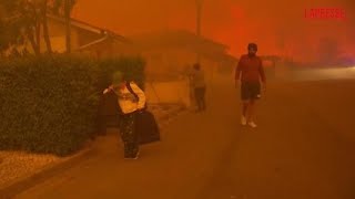 Portogallo il video dei devastanti incendi che bruciano nel nord del paese gli abitanti in fuga [upl. by Solly497]