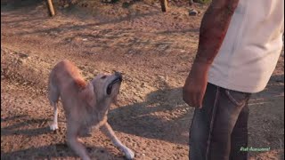 How to get a new dog in gta 5 storymode not clickbait [upl. by Floro]