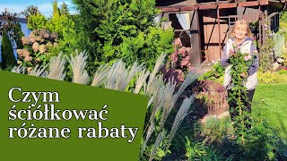 CZYM ŚCIÓKOWAĆ RÓŻANE RABATY JESIENIĄ 🌹 [upl. by Ahsotan]