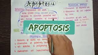 What is Apoptosis  Intrinsic Extrinsic pathway Morphologic Changes Mechanism amp the caspase [upl. by Iphigenia20]