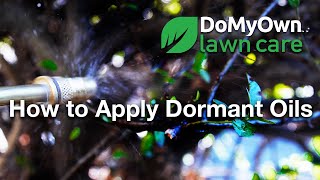 How to Use Dormant Oils Tree amp Shrub Care  DoMyOwn Lawn Care [upl. by Gayleen253]