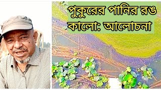 পুকুরের পানির রঙ কালোআলোচনা। Colour of pond water turns black Discussion Abeed Lateef [upl. by Kaete]