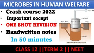 Microbes in human welfare class 12  one shot revision for term 2 amp Neet in hindi [upl. by Reivax]