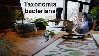 Lo que no sabías de la taxonomía bacteriana [upl. by Ahtiuqal228]