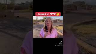 Hawaii in NYC shortvideo [upl. by Warren]